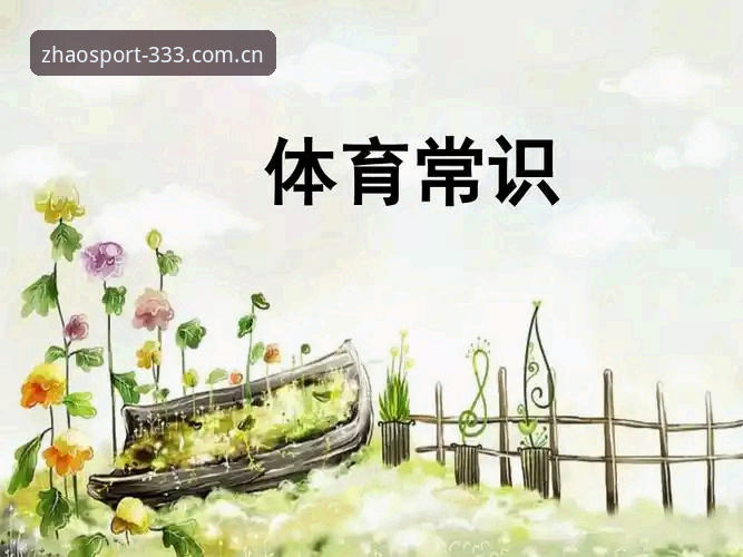 333体育平台全面评测：体育下载怎么下怎么样？新手必备操作指南